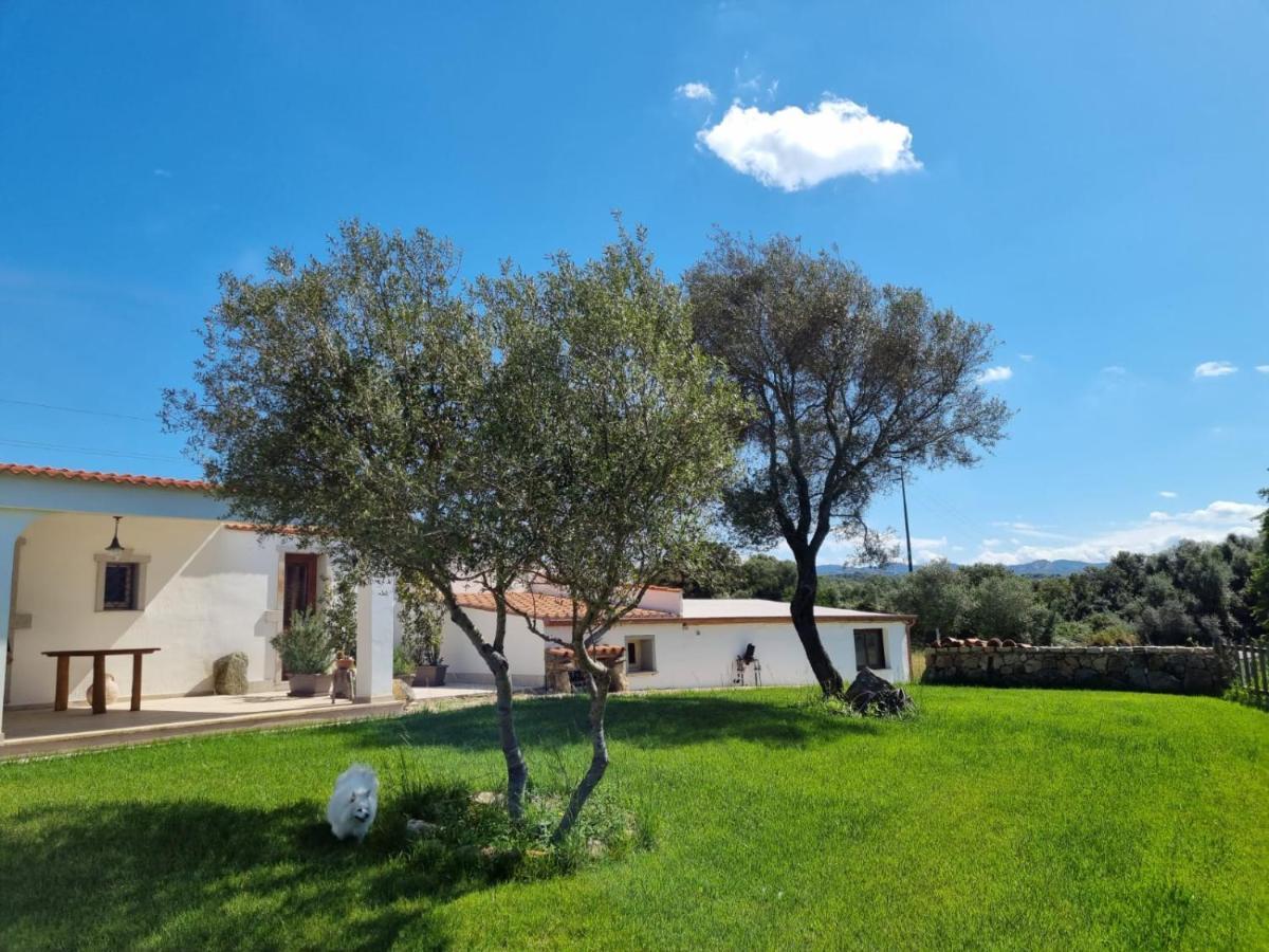 Lu Antu Alloggi Agrituristici Arzachena Bagian luar foto