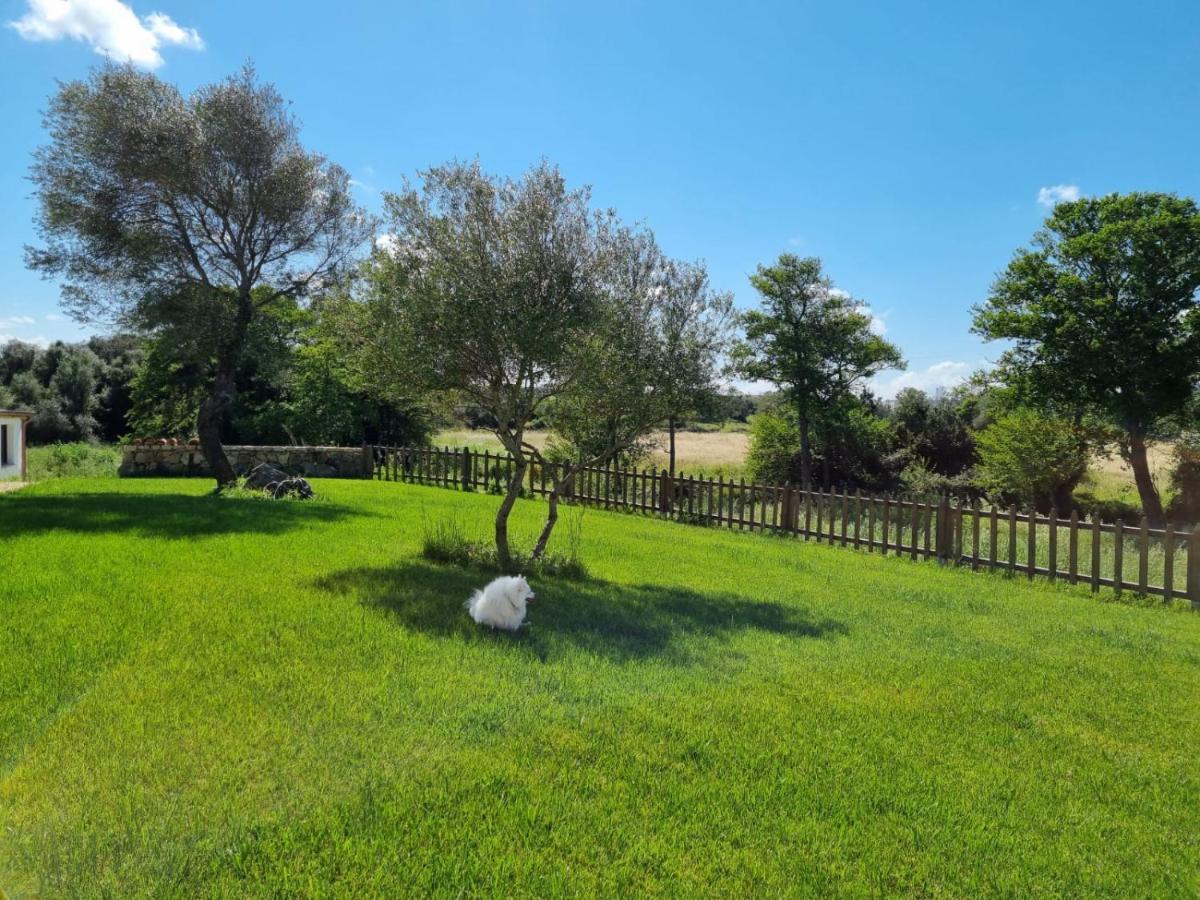 Lu Antu Alloggi Agrituristici Arzachena Bagian luar foto
