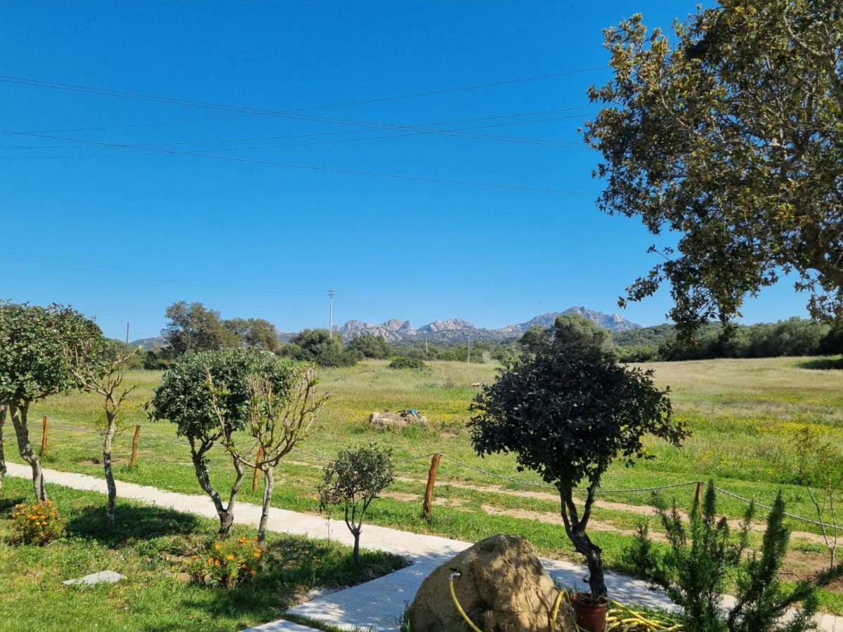 Lu Antu Alloggi Agrituristici Arzachena Bagian luar foto